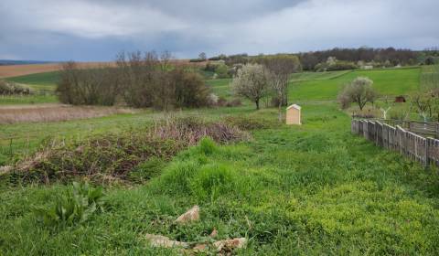 Charming Vineyard Plot for Relaxation in Klasov
