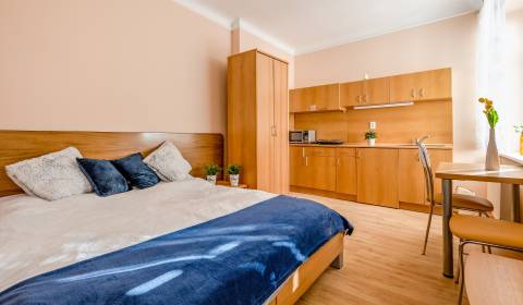 Rent Single studio, Single studio, Vajanského nábrežie, Bratislava - S
