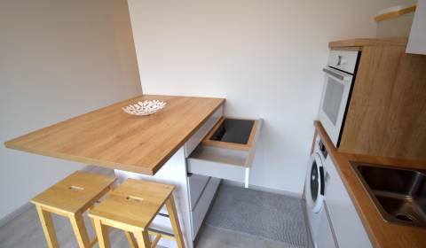 Rent One bedroom apartment, One bedroom apartment, Haburská, Bratislav