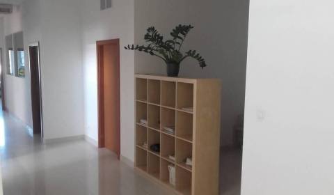 Rent Offices, Offices, Stará Vajnorská, Bratislava - Nové Mesto, Slova