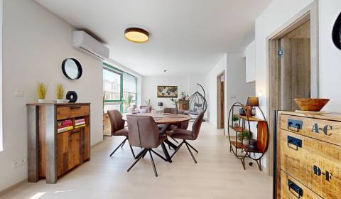 Rent One bedroom apartment, One bedroom apartment, Námestie SNP, Brati