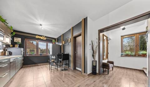 Sale Family house, Family house, Dunajská Streda, Slovakia