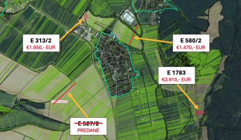 Sale Agrarian and forest land, Agrarian and forest land, Veľký Krtíš, 