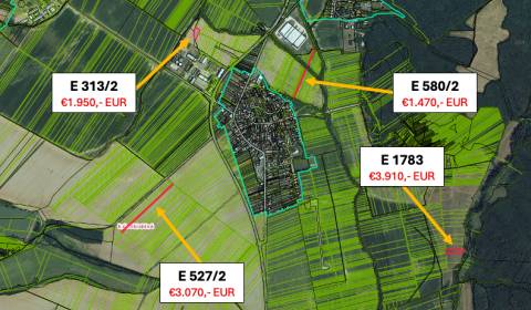 Sale Agrarian and forest land, Agrarian and forest land, Veľký Krtíš, 