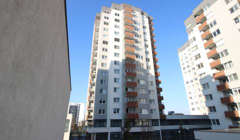 One bedroom apartment, Mierová, Rent, Bratislava - Ružinov, Slovakia