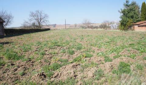 Sale Land – for living, Land – for living, Topoľčany, Slovakia