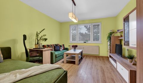 Sale Studio, Studio, Studenohorská, Bratislava - Lamač, Slovakia