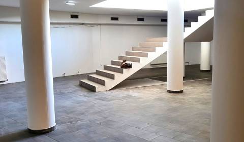 Rent Commercial premises, Commercial premises, Vajnorská, Bratislava -