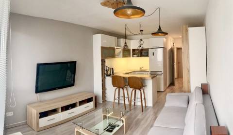 Rent One bedroom apartment, One bedroom apartment, Nobelova, Bratislav