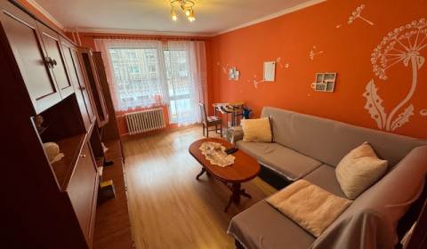 Sale One bedroom apartment, One bedroom apartment, Lanškrounská, Kežma