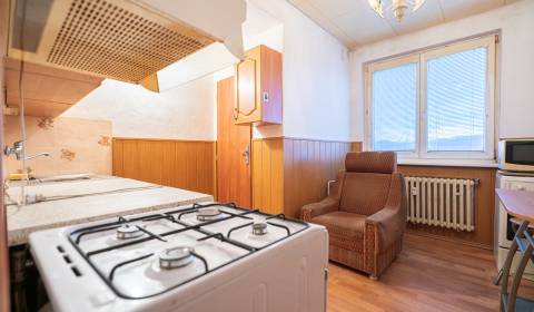 Sale Studio, Studio, Pred poľom, Trenčín, Slovakia