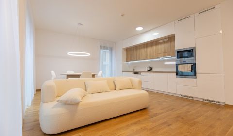 Brand-new 2-bedroom, Metropolis