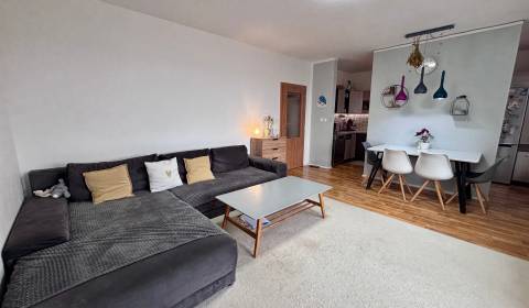 Sale One bedroom apartment, One bedroom apartment, Pod Párovcami, Pieš