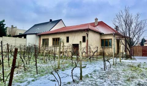 Sale Family house, Family house, Hlohovec, Slovakia