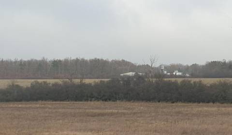 Sale Agrarian and forest land, Agrarian and forest land, Pezinok, Slov