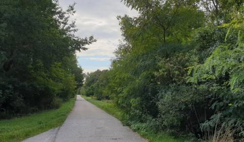 Sale Agrarian and forest land, Agrarian and forest land, Pezinok, Slov