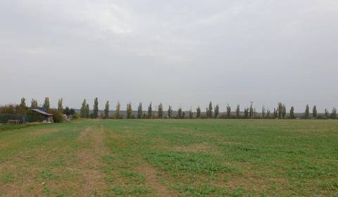 Sale Agrarian and forest land, Agrarian and forest land, Pod kašteľom,