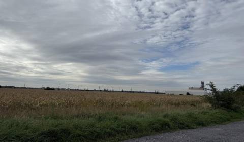 Sale Agrarian and forest land, Agrarian and forest land, Pezinok, Slov