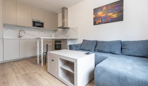 Renovated 2-room apartment, Petržalka