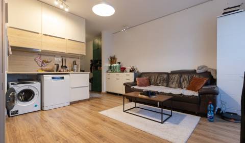 Modern 1-Bedroom Apartment with Balcony and Parking