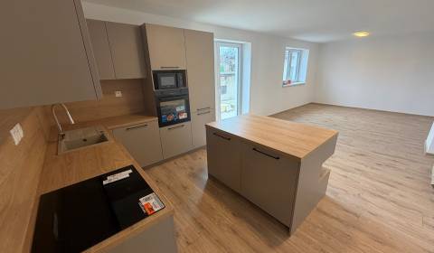 Sale Family house, Family house, Sasinkovo, Hlohovec, Slovakia