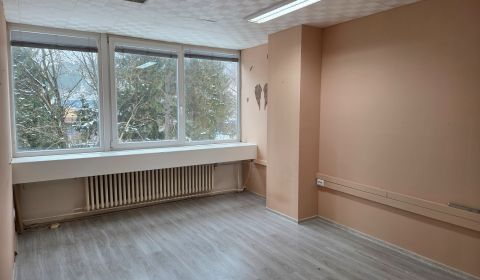 Rent Commercial premises, Commercial premises, Centrum , Považská Byst