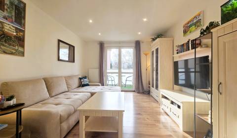 Sale One bedroom apartment, One bedroom apartment, Tarasa Ševčenka, Pr