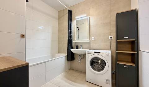 Rent One bedroom apartment, One bedroom apartment, Armádna, Trenčín, S