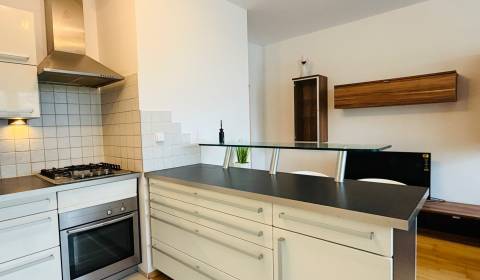 Rent One bedroom apartment, One bedroom apartment, Klenová 13, Bratisl