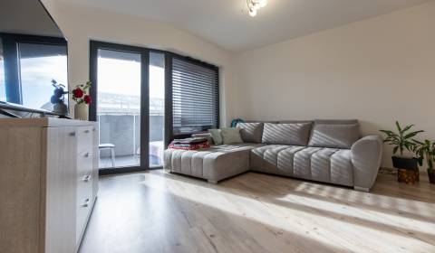 Bright 1-bedroom with parking, Prievoz