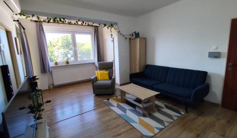 Spacious Family Home with Business Potential in Piešťany Center