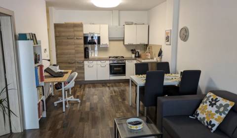 Rent One bedroom apartment, One bedroom apartment, Dona Sandtnera, Pez