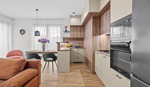 Rent Two bedroom apartment, Two bedroom apartment, Bottova, Bratislava