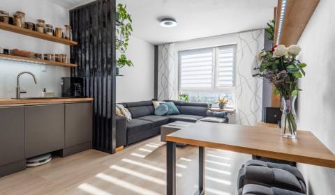 Sale One bedroom apartment, One bedroom apartment, Pri Hrubej lúke, Br