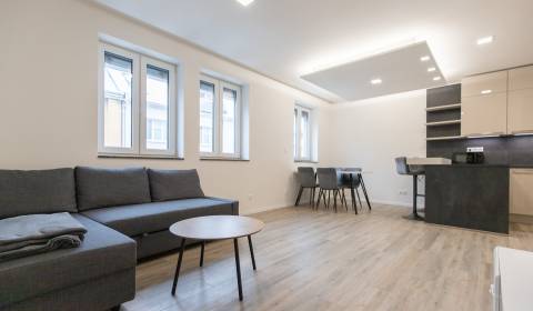 Modern 1-bedroom apt near Nivy