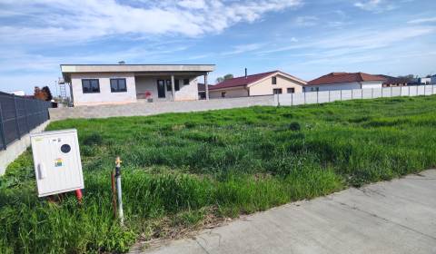 Sale Land – for living, Land – for living, Váhová, Šaľa, Slovakia