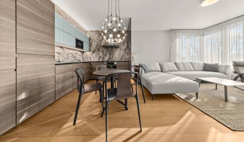 Rent One bedroom apartment, One bedroom apartment, Žižkova, Bratislava