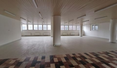 Rent Commercial premises, Commercial premises, Centrum, Martin, Slovak