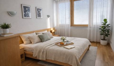 Rent One bedroom apartment, One bedroom apartment, Ružová dolina, Brat