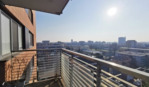 Rent One bedroom apartment, One bedroom apartment, Ružová dolina, Brat