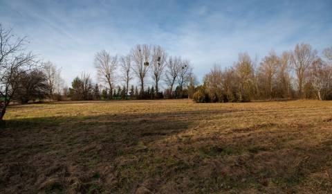 Sale Land plots - commercial, Land plots - commercial, Stupava, Malack