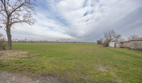 Sale Land – for living, Land – for living, Jatov, Nové Zámky, Slovakia