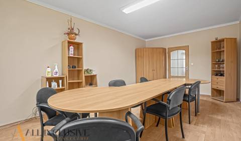 Rent Offices, Offices, Jilemnického, Dunajská Streda, Slovakia