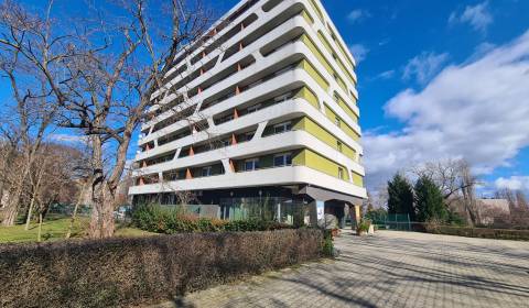 Rent One bedroom apartment, One bedroom apartment, Komárno, Slovakia