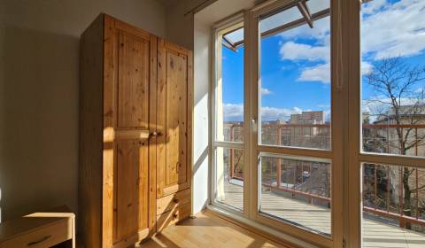 Rent One bedroom apartment, One bedroom apartment, Obrancov mieru, Koš