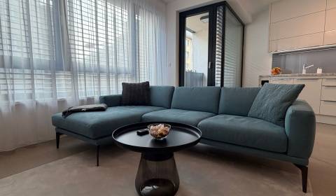 Rent One bedroom apartment, One bedroom apartment, Radlinského, Bratis