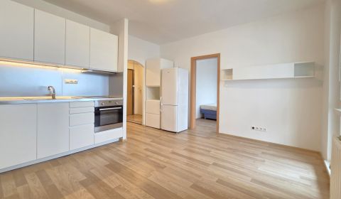 Sale Double-studio, Double-studio, Holíčska, Bratislava - Petržalka, S