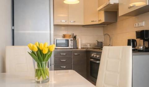 Rent One bedroom apartment, One bedroom apartment, Markušova, Košice -