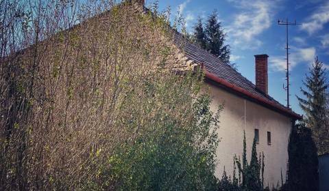 Sale Family house, Family house, Topoľčany, Slovakia