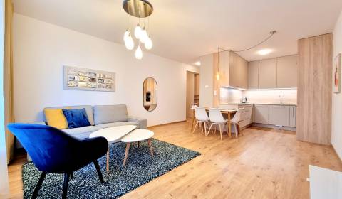 Sale One bedroom apartment, One bedroom apartment, Františka Kubu, Bra